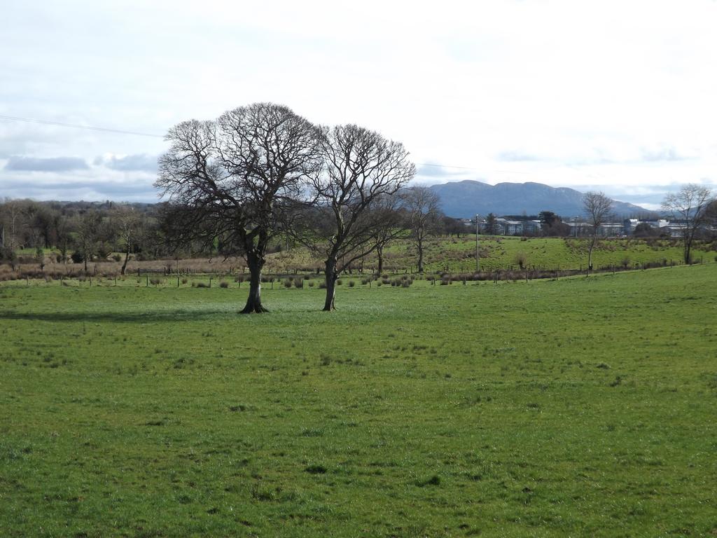 The Red Cottage & Stables Sligo Eksteriør bilde